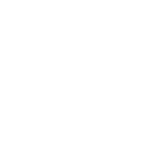 Mobile Apps Development