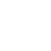 Software Development