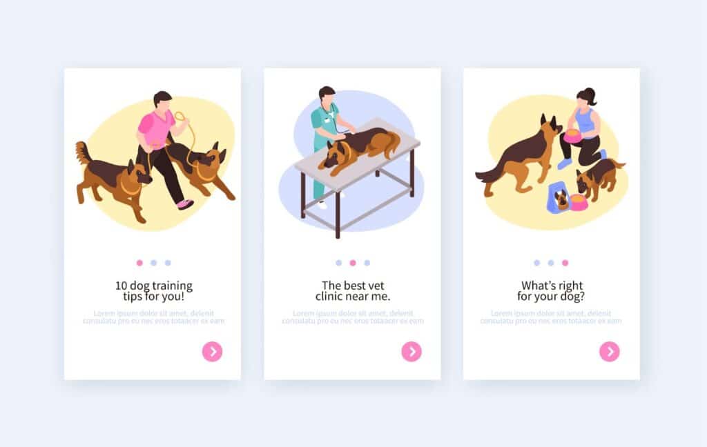 Dog Walker Service App