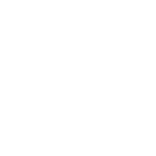 Project Management