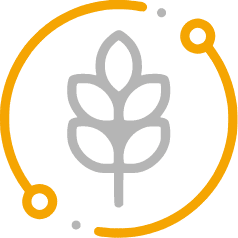 https://www.amplework.com/wp-content/uploads/2023/04/agronomy.png