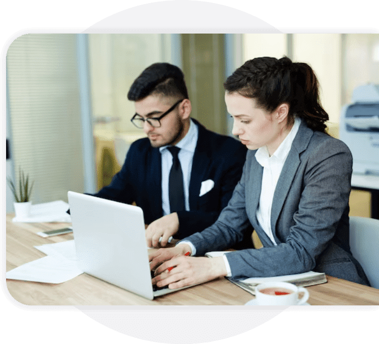 Software Application Testing