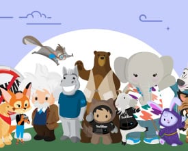 blog-why-choose blog-why-choose